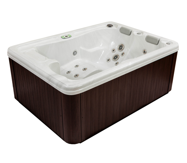artesian swim spas